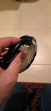 7' CAT5e Black Ethernet/ Network Cable UTP