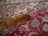 Handmade Solid Brown Mink Fur Scarf - Diamonds Sapphires Rubies Emeralds