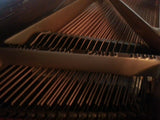 Baldwin piano - Diamonds Sapphires Rubies Emeralds