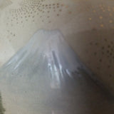 Antique Asian Porcelain Signed Satsuma  Museum Quality