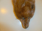 Handmade Solid Brown Mink Fur Scarf - Diamonds Sapphires Rubies Emeralds