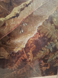 Antique Organic Watercolor Ornithological Signed