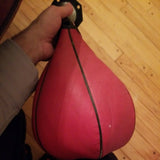 Everlast 4213 Punching Bag Gyro Balanced Made in USA