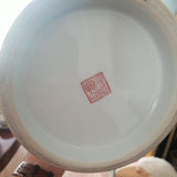 Vintage Chinese Porcelain Large Peacock Vase Signed