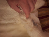 Tahari Arthur S. Levine Faux Fur Vest Size Small