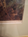 Antique Organic Watercolor Ornithological Signed