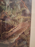 Antique Organic Watercolor Ornithological Signed