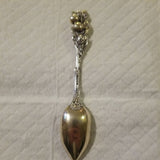 Antique Sterling Silver Tea Spoon